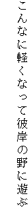 こんなに軽くなって彼岸の野に遊ぶ